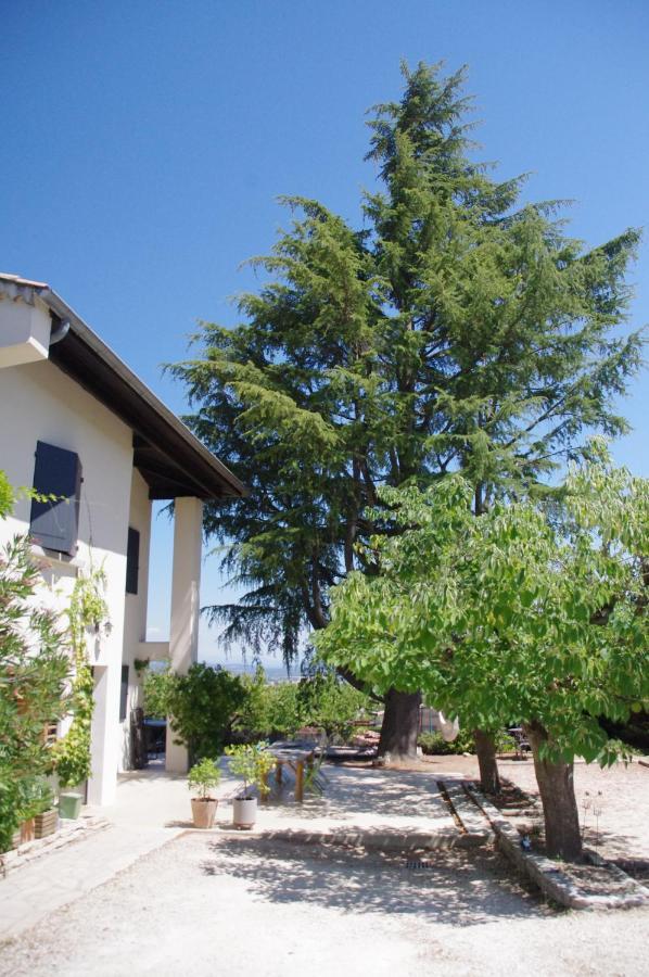 Le Grand Cedre - 2 Chambres D'Hotes - Sud Ardeche 伯格圣安迪欧 外观 照片