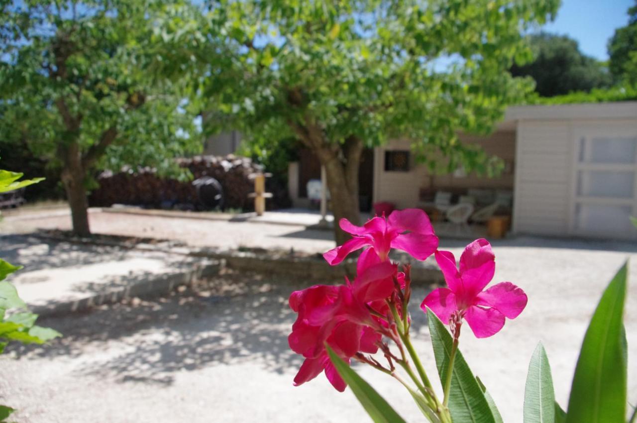 Le Grand Cedre - 2 Chambres D'Hotes - Sud Ardeche 伯格圣安迪欧 外观 照片